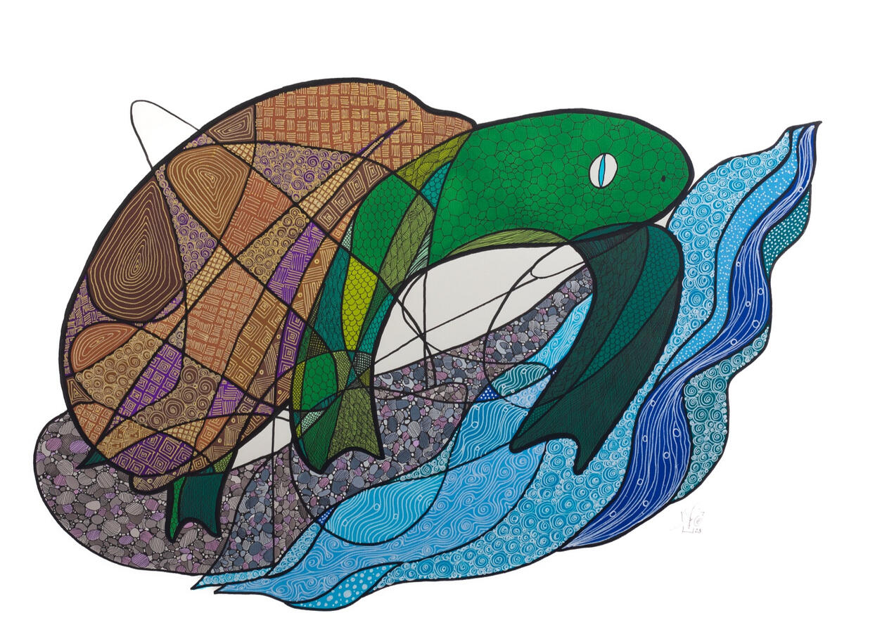 Tortue